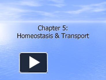 Ppt Chapter Homeostasis Transport Powerpoint Presentation Free