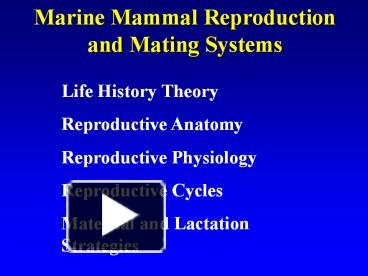 Ppt Marine Mammal Reproduction And Mating Systems Powerpoint