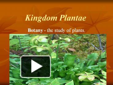 PPT – Kingdom Plantae PowerPoint Presentation | Free To View - Id ...