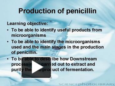 PPT – Production Of Penicillin PowerPoint Presentation | Free To ...