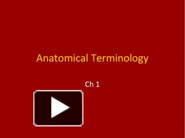 PPT – Anatomical Terminology PowerPoint Presentation | Free To Download ...