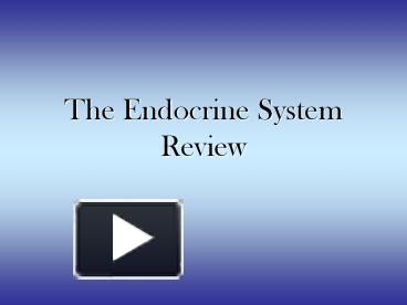 PPT – The Endocrine System Review PowerPoint Presentation | Free To ...