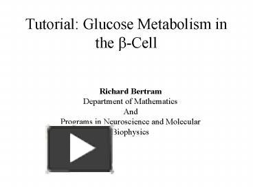 PPT Tutorial Glucose Metabolism In The B Cell PowerPoint