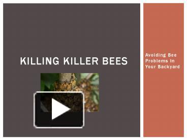 Killer Bees - ppt download