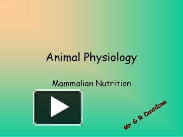 PPT – Animal Physiology PowerPoint Presentation | Free To Download - Id ...