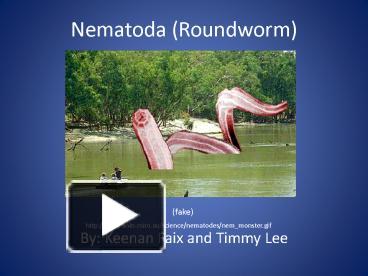 PPT – Nematoda (Roundworm) PowerPoint Presentation | Free To View - Id ...