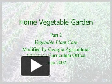 PPT – Home Vegetable Garden PowerPoint Presentation | Free To View - Id ...