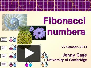 PPT – Fibonacci Numbers PowerPoint Presentation | Free To Download - Id ...