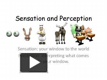 PPT – Sensation And Perception PowerPoint Presentation | Free To View ...