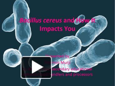 PPT – Bacillus Cereus And How It Impacts You PowerPoint Presentation ...