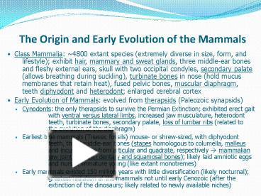 PPT – The Origin and Early Evolution of the Mammals PowerPoint