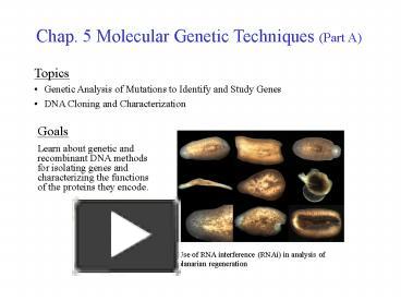 PPT – Chap. 5 Molecular Genetic Techniques (Part A) PowerPoint ...