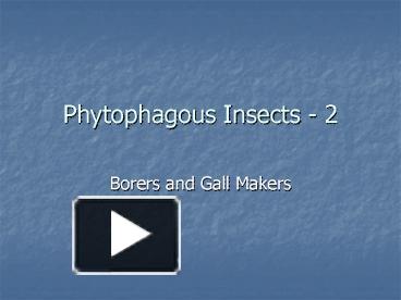 PPT – Phytophagous Insects 2 PowerPoint presentation  free to view