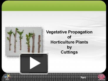 PPT – Vegetative Propagation Of Horticulture Plants By Cuttings ...