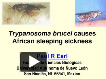 PPT – Trypanosoma Brucei Causes African Sleeping Sickness Paul R Earl ...