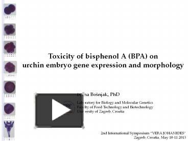 PPT – Toxicity Of Bisphenol A (BPA) On PowerPoint Presentation | Free ...