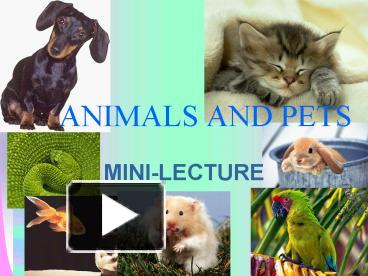 Ppt – Animals And Pets Powerpoint Presentation 