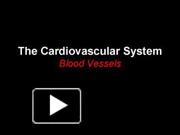 blood supply of the heart slideshare