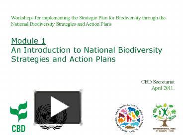 PPT – Workshops For Implementing The Strategic Plan For Biodiversity ...