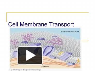 PPT – Cell Membrane Transport PowerPoint Presentation | Free To ...