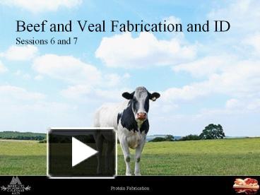 PPT – Beef And Veal Fabrication And ID Sessions 6 And 7 PowerPoint ...