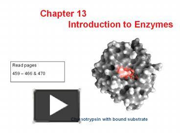 PPT – Introduction To Enzymes PowerPoint Presentation | Free To ...