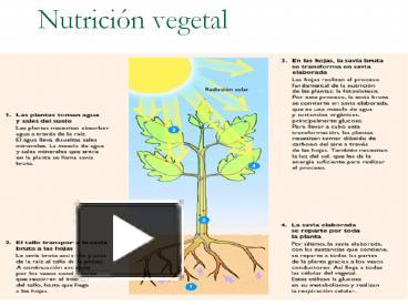 PPT – Nutrici PowerPoint Presentation | Free To Download - Id: 519c7c-ZDc3N