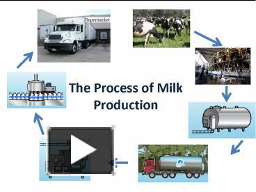 Ppt – The Process Of Milk Production Powerpoint Presentation 