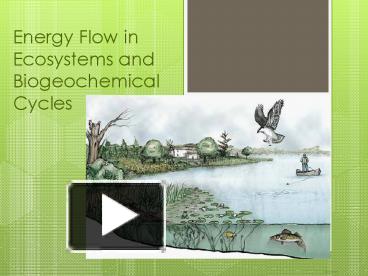 PPT – Energy Flow In Ecosystems And Biogeochemical Cycles PowerPoint ...