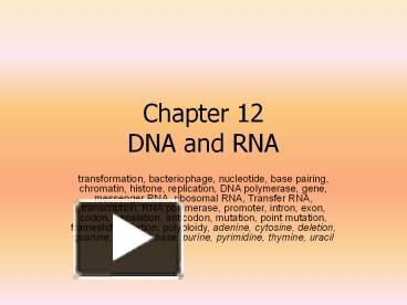 PPT – Chapter 12 DNA And RNA PowerPoint Presentation | Free To Download ...