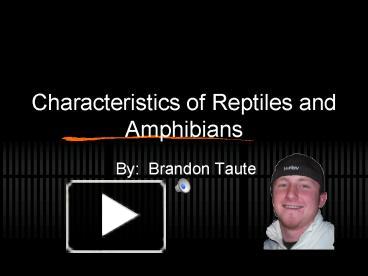 PPT – Characteristics of Reptiles and Amphibians PowerPoint