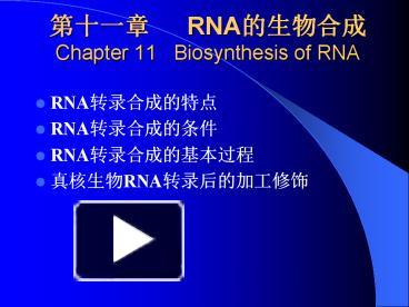 PPT – ???? RNA????? Chapter 11 Biosynthesis Of RNA PowerPoint ...