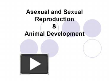 PPT – Asexual And Sexual Reproduction PowerPoint Presentation | Free To ...