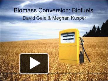 PPT – Biomass Conversion: Biofuels PowerPoint Presentation | Free To ...