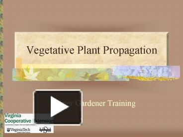 PPT – Vegetative Plant Propagation PowerPoint Presentation | Free To ...