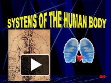 all system of human body ppt