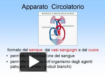 Ppt Apparato Circolatorio Powerpoint Presentation Free To View Id 5b4e58 N2y4m