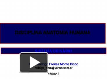 PPT – SISTEMA URIN PowerPoint Presentation | Free To Download - Id ...