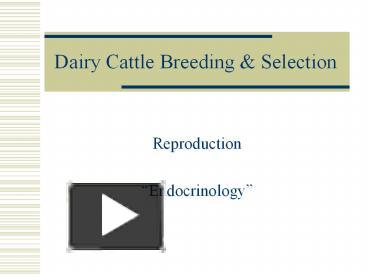 PPT – Dairy Cattle Breeding PowerPoint Presentation | Free To Download ...