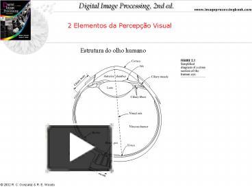 Ppt Elementos Da Percep Powerpoint Presentation Free To Download Id Da A Ndziz