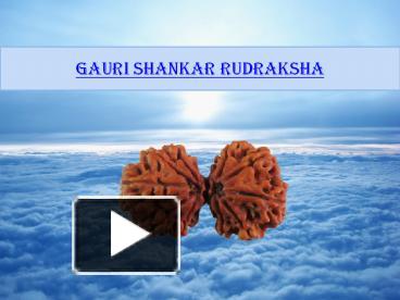 Rudraksha