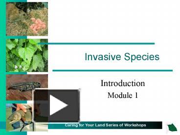 PPT – Invasive Species PowerPoint Presentation | Free To View - Id ...