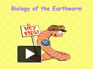 PPT – Biology Of The Earthworm PowerPoint Presentation | Free To View ...