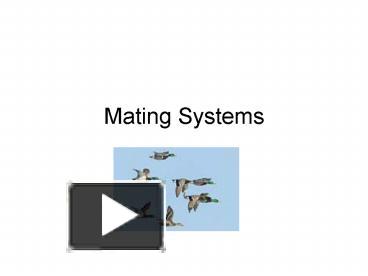 Ppt Mating Systems Powerpoint Presentation Free To View Id Fd