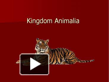 PPT – Kingdom Animalia PowerPoint Presentation | Free To Download - Id ...