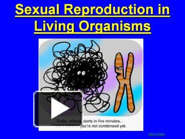 PPT – Sexual Reproduction In Living Organisms PowerPoint Presentation ...