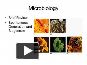 PPT – Microbiology PowerPoint Presentation | Free To View - Id: 6963ab ...