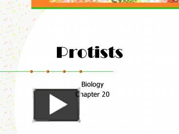 PPT – Protists PowerPoint Presentation | Free To Download - Id: 69d94c ...