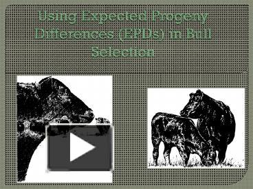 PPT – Using Expected Progeny Differences EPDs In Bull Selection ...