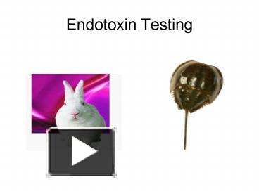 PPT – Endotoxin Testing PowerPoint Presentation | Free To View - Id ...